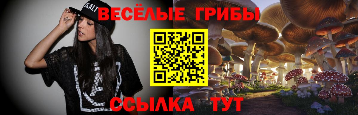 Коркино  Псилоцибиновые грибы MAGIC MUSHROOMS  Вход с VPN 
